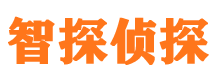 江川智探私家侦探公司